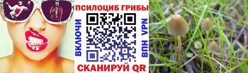Псилоцибиновые грибы прущие грибы  Первоуральск 